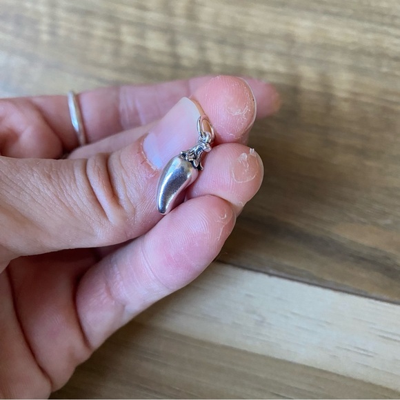 James Avery Rare Retired jalapeño Sterling Silver Charm - Picture 7 of 8
